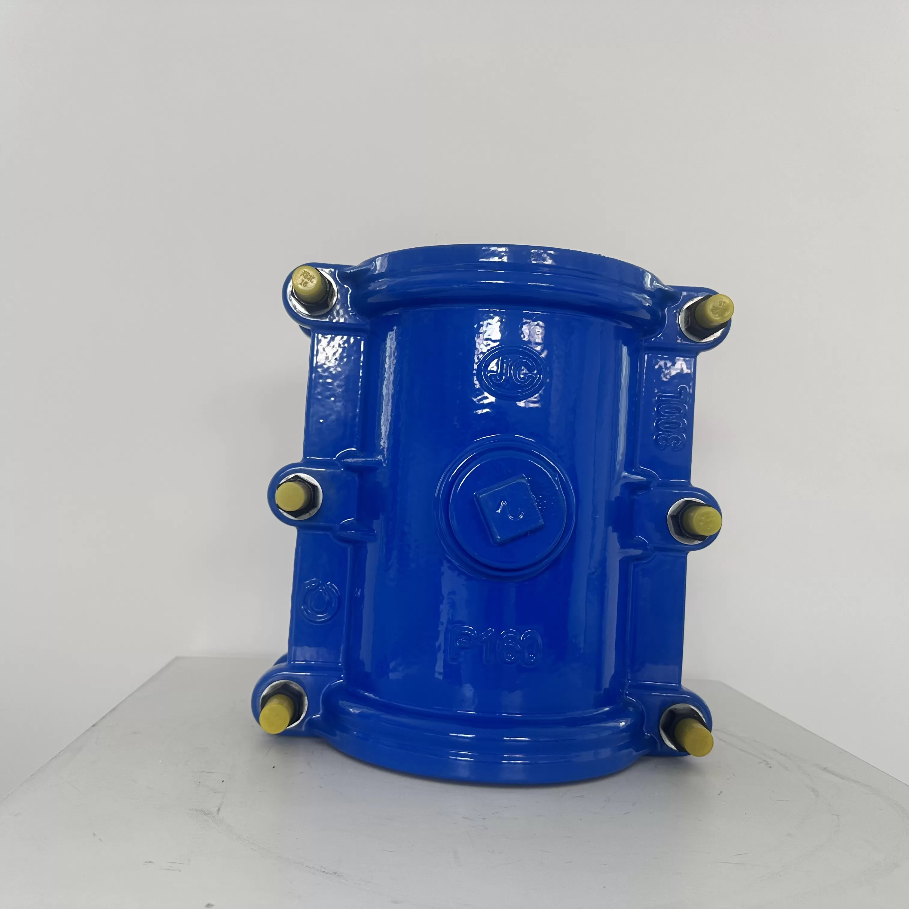 Repair Clamp300
