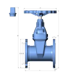 National Standard Gate Valve
