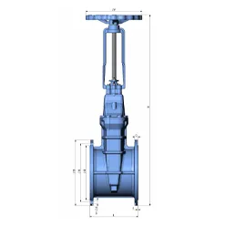 Rising Stem Gate Valve