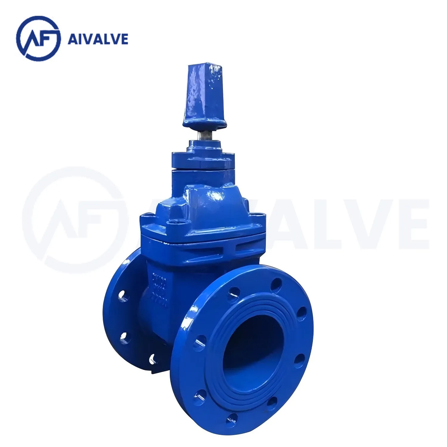 BS5163 Square Cap Resilient Seated Gate Valve