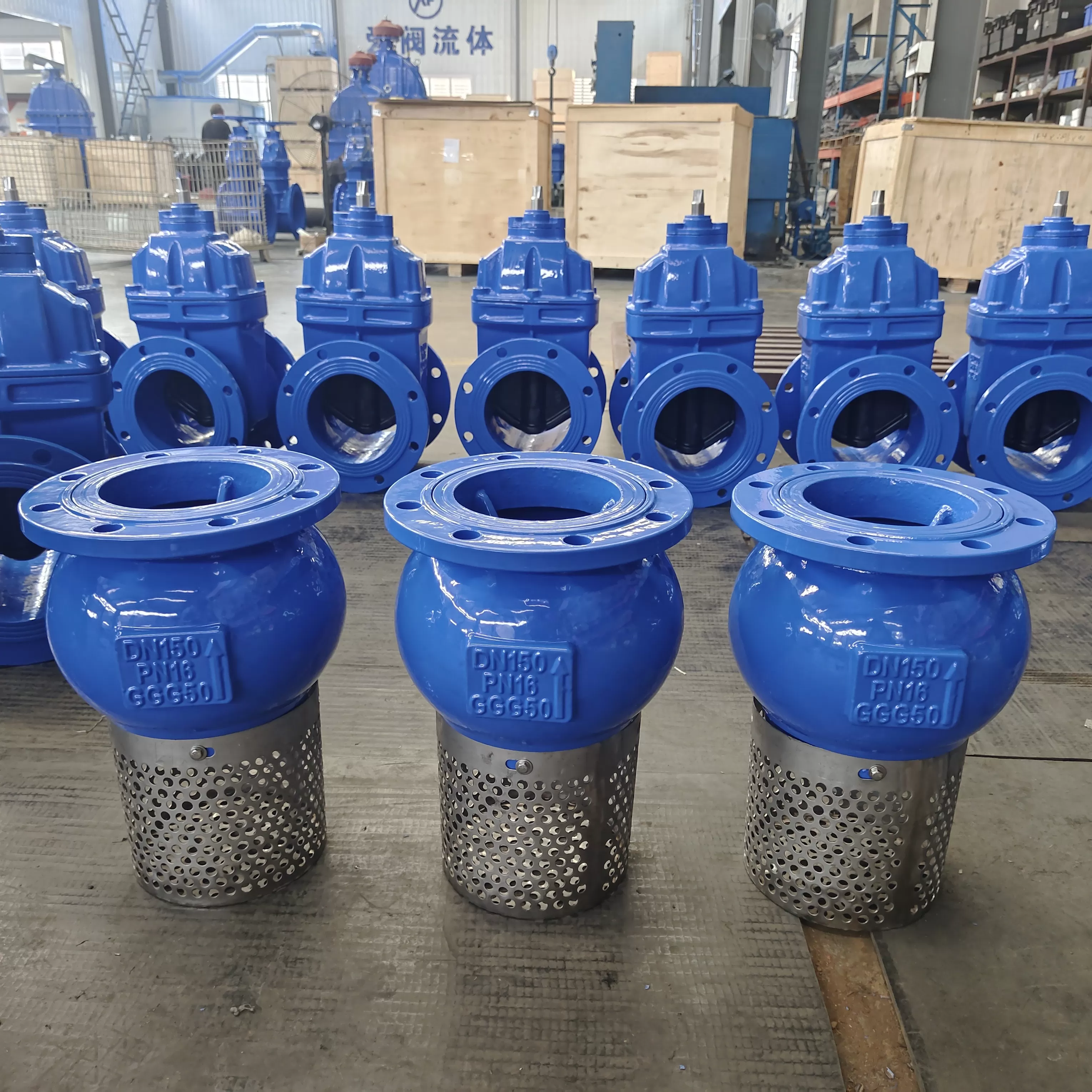 Foot Valve