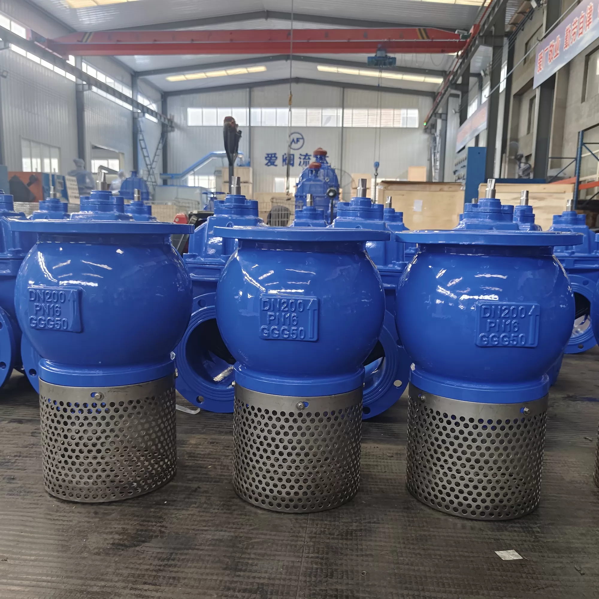 Foot Valve